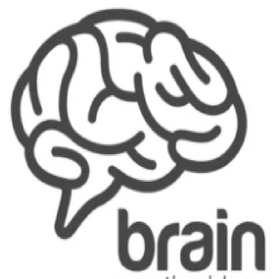 BRAIN SCHOOL SYSTEM logo